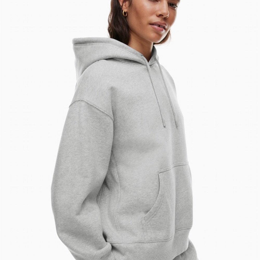 Aritzia Cozy Fleece Boyfriend Hoodie Grey